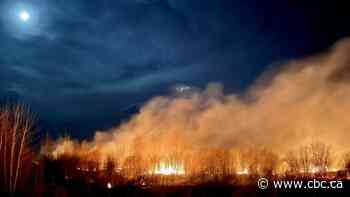 Wildfire smoke blankets province as brisk winds accelerate Alberta's fire risk