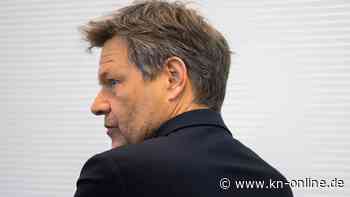 Die Grünen in der Krise: eigene Fehler und nicht mehrheitsfähige Inhalte