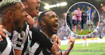 Brighton's collapse at Everton a reminder Newcastle can head into crucial clash with confidence