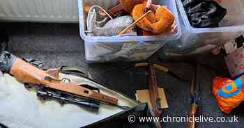 Five arrested after police seize cannabis worth £75,000 and weapons in early morning raids in Walker