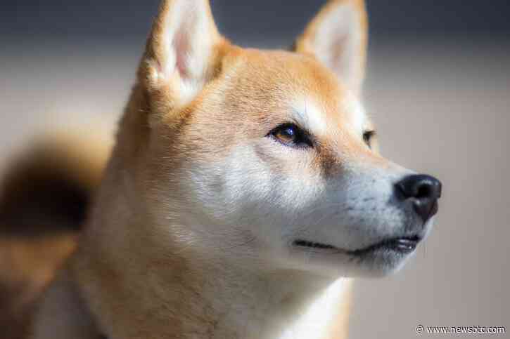 Shiba Inu Event Raises The Bar With A 26,000% Surge In 24-Hour Burn Rate