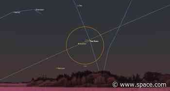 See Jupiter hide behind the moon during a lunar occultation early on May 17