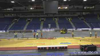 From hard ice to hardwood and back again