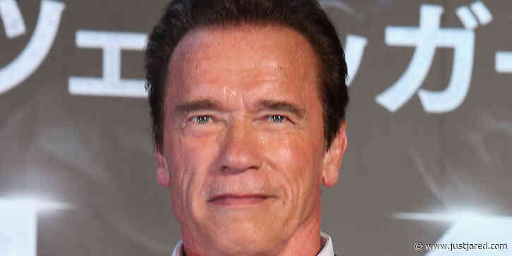 Arnold Schwarzenegger Reveals If He Ever Got Cosmetic Surgery, If He Misses Being Married, & Calls Out a Famous Director For What He 'F-ked Up' in a New Interview