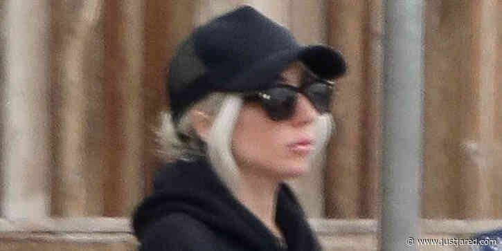 Lady Gaga Goes Undercover During Grocery Run in Malibu