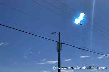 Eagle electrocution turns heads at Vancouver Island beach