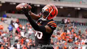Tee Higgins on voluntary offseason program: I love the game, why not come in and work?
