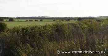 Petition launched to halt Backworth solar farm project given green light by North Tyneside Council