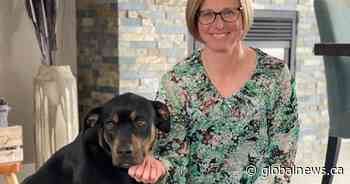 Moncton therapist helps people cope with the loss of their pets