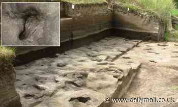 Oldest human footprint ever discovered - 300,000-year-old prints of extinct 'Heidelberg people'