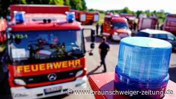 Niedersachsen: Cannabis-Plantage bei Löscharbeiten entdeckt