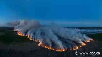 'Significant and extreme' wildfire risk to northern B.C. likely to spread south, officials warn