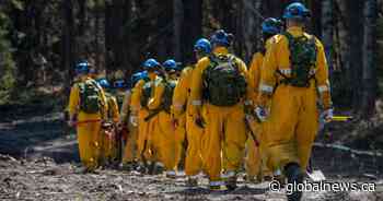 Alberta wildfires: Evacuation order lifted for Drayton Valley, parts of Brazeau County