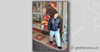 Suspects sought after man injured trying to stop grocery store theft in north Edmonton