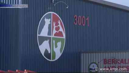 BernCo offering free pet vaccines, microchipping