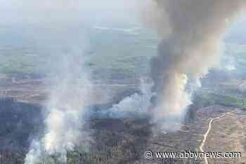Easing winds aid wildfire fight, after ‘controlled chaos’ in Fort St. John, B.C.