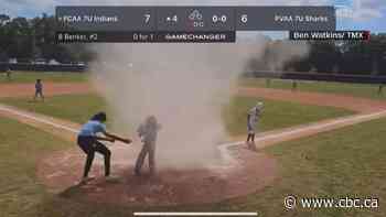 Youth baseball catcher safe from dust devil thanks to umpire