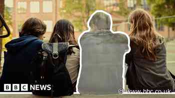 School-absence fines make problem worse, MPs told