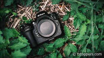 A Beast for Serious Photographers: We Review the Nikon Z 8