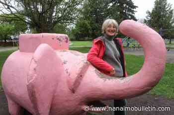 Meet Rutley, trashcan-turned-icon of Vancouver Island’s ‘pink elephant park’