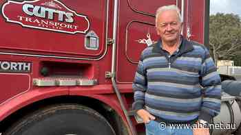 Freight companies scramble for solution amid truck driver shortage