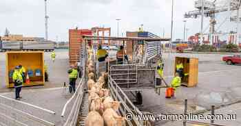 Live export phase out panel seeks answers on market possibilities