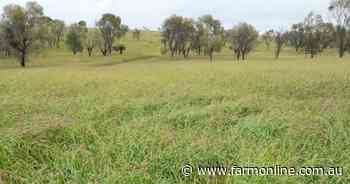 Premier mixed farming operation sold under the hammer