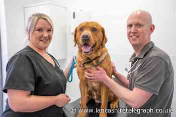 Dog owner 'heartbroken' after finding lump on pets ankle