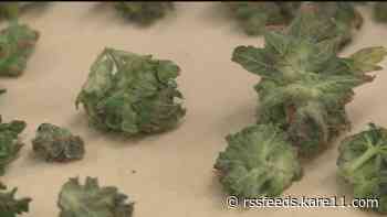 Negotiators finalize details of bill to legalize recreational marijuana in Minnesota