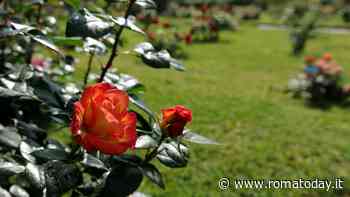 Roseto Comunale: concorso internazionale Premio Roma 2023