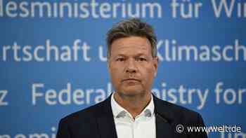 „Es ist der eine Fehler zu viel“ – Habeck schickt Staatssekretär Graichen in einstweiligen Ruhestand