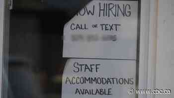 Pricey cottage rentals may be making labour shortages worse in Ontario beach towns