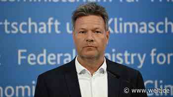 „Der eine Fehler zu viel“ – Habeck schickt Staatssekretär Graichen in einstweiligen Ruhestand