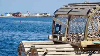 'A really very big deal for us': 3 Mi'kmaw First Nations excited about moderate livelihood fisheries