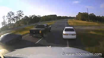 Driver Stopping for Turtle Crossing Causes Major Wreck on Florida Panhandle Roadway