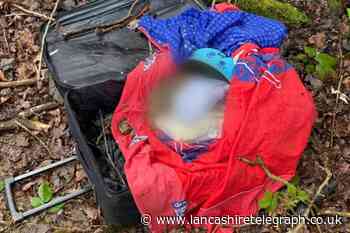 Skelmersdale: Dog with facial injuries found dead in suitcase
