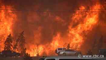 Hotter, faster, more destructive: wildfire's new reality