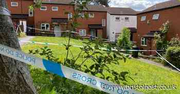 Greystoke Gardens: Woman found dead in property as man arrested