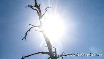 UN-Organisation warnt vor zunehmender Erderwärmung