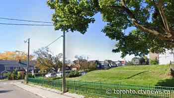 Toronto boy mauled by off-leash dog on school property