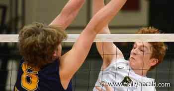 Titans boys volleyball tops Spartans in 'nice little preview'
