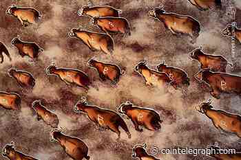 'One of the greatest' Bitcoin metrics says BTC price bull run is here