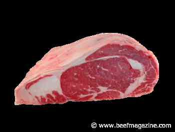 Beef quality audit shows improvement, opportunity