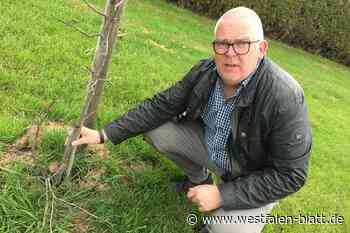 Randalierer in Amelunxen unterwegs