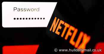 Netflix warns Sky, BT, Virgin and TalkTalk over upcoming password-sharing ban