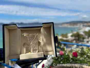 76e Festival de Cannes: on a tenu la Palme d’Or 2023 dans les mains