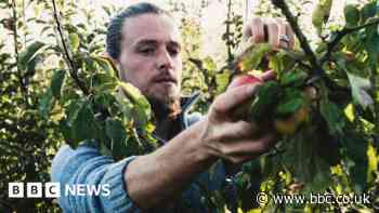 More migrant fruit pickers welcome in UK, says PM