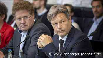 Patrick Graichen: Robert Habeck versetzt Staatssekretär in den einstweiligen Ruhestand