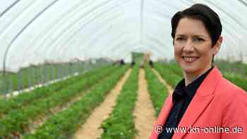 Teilnahme an Veggie-Monat: CDU-Ministerin Gorißen bekennt sich zu Fleischkonsum – Kritik aus eigenen Reihen