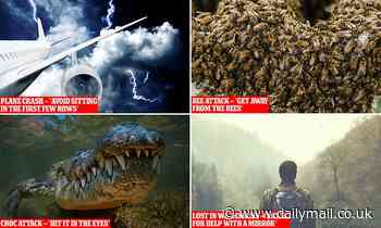 Can AI save your life? Google Bard's tips for surviving plane crashes, croc attacks and more